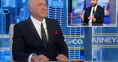 Kevin OâLeary calls Mayor Mamdaniâs NYC tax plan âstupidâ as wealth flees the city